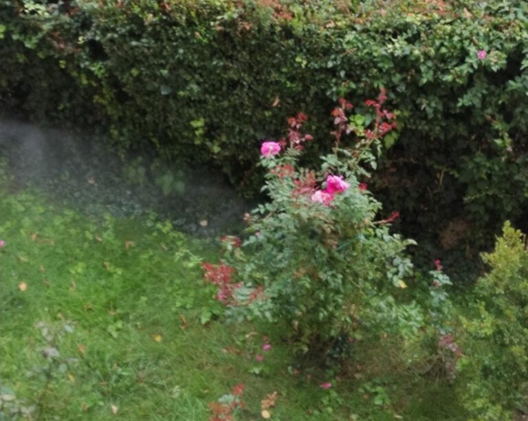 Aspersoarele din Sectorul 2 continuă să funcționeze în condiții de ploaie abundentă