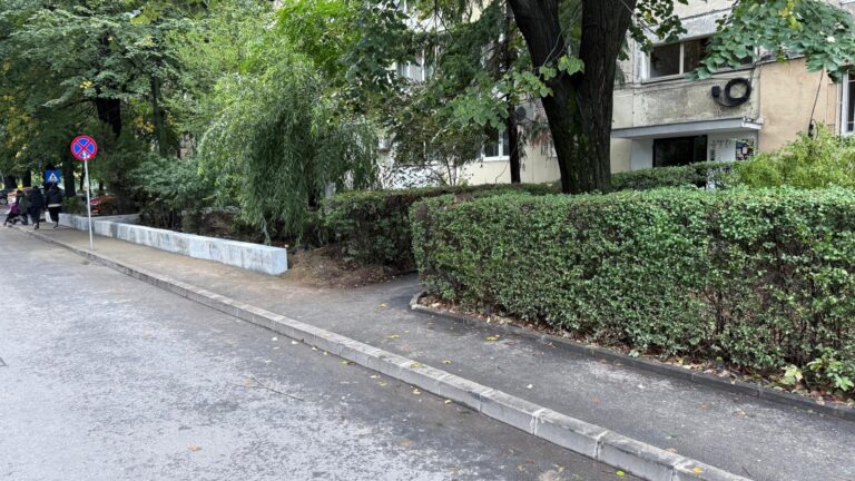 Băluță transformă bordurile vechi în ziduri chinezești pe Strada Spiniș