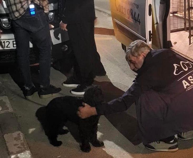 Bărbat filmat în timp ce își bătea câinele. Individul ar mai fi agresat animalul și în trecut. Poliția a început urmărirea penală în cazul său