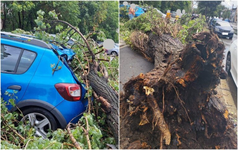 Bucureștenii din S2 cu mașini avariate de copaci sau de gheață căzută de pe clădirile administrate de primărie vor fi despăgubiți