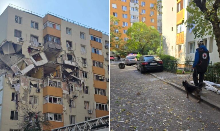 Câinii de salvare, mobilizați după explozia din Rahova