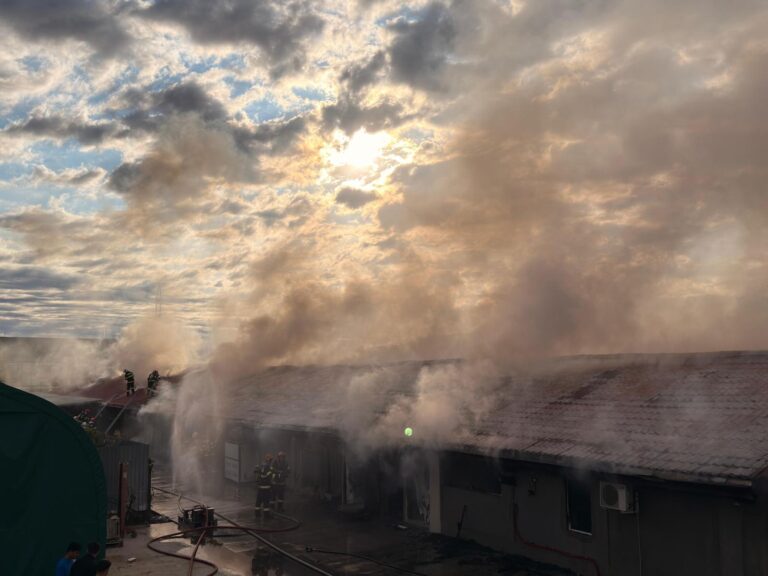 Calitatea aerului din București afectată de incendii: Peste șapte intervenții zilnice pentru stingerea focarelor în ultimii cinci ani