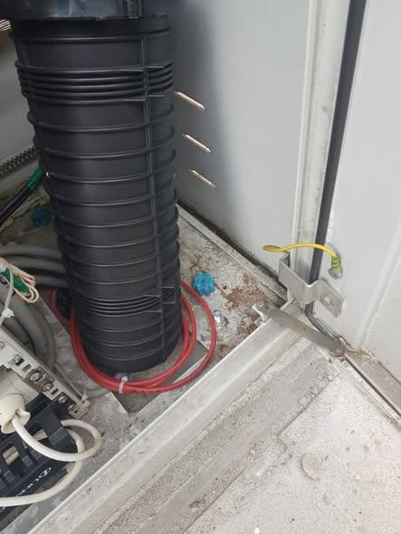 Compania Municipală Eco Igienizare a demarat deratizarea în București