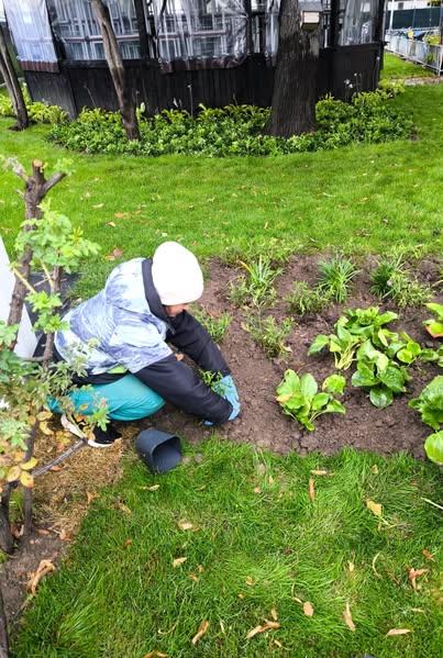Continuăm Curățenia de Toamnă: Lucrări pe spațiile verzi din cartierul Bucureștii Noi