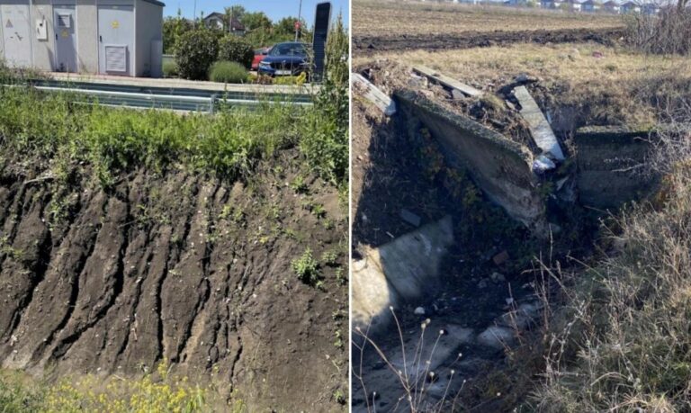 Controverse privind lucrările de canalizare din Nordul Capitalei, în urma descoperirii unei specii protejate