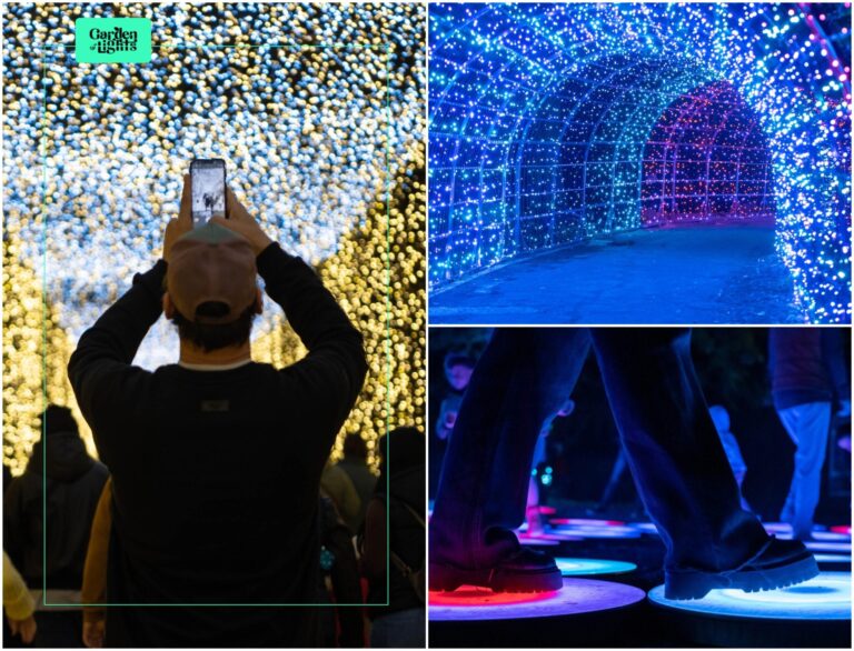 Grădina Botanică din București devine tărâm magic: „Small World”, tema de anul acesta. Grădina Luminilor se pregătește să-și deschidă porțile, biletele deja s-au pus în vânzare