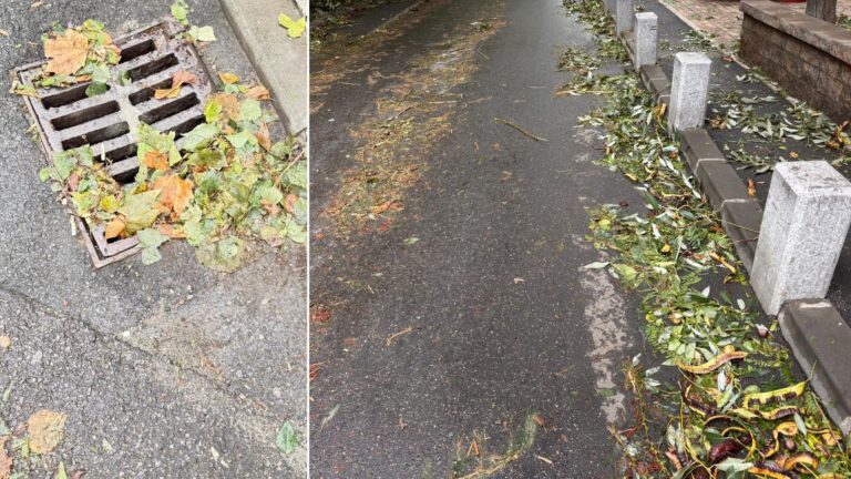 Mâzga verde-maronie pe străzi, după vremea extremă din București