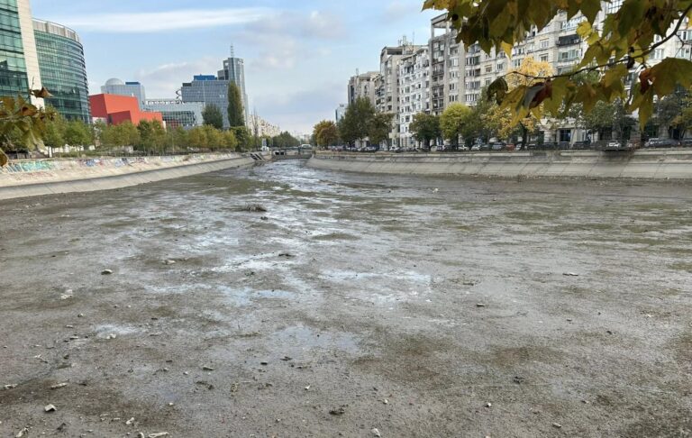 Mlaștina de la Planșeul Unirii: Mirosuri insuportabile și peisaj dezolant