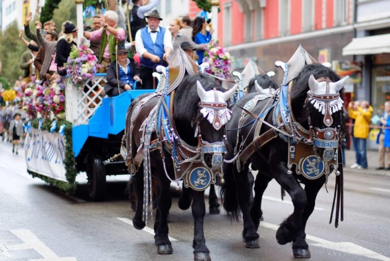 Oktoberfest ajunge în premieră la București, pe 23 octombrie. Paradă de care alegorice prin Sectorul 2, concerte, berării și zonă gastronomică la Verde Stop Arena