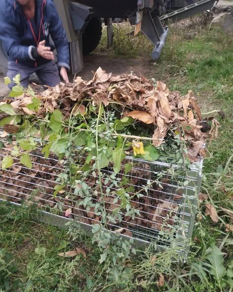 Practici eficiente în salvarea animalelor – implementate de echipele ASPA