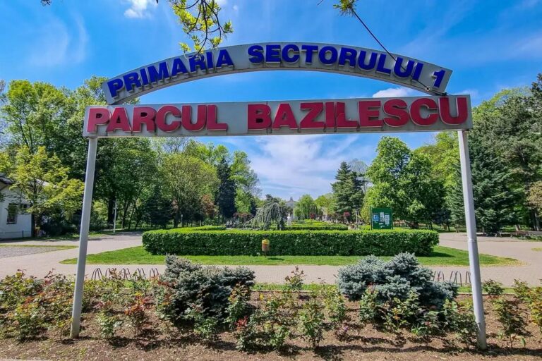 Primăria Sectorului 1 propune reamenajarea Parcului Bazilescu, dar activiștii subliniază lipsa discuțiilor despre spațiile verzi