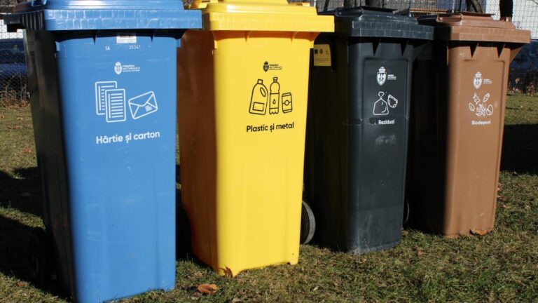 Problemele cu deșeurile în Sectorul 2: Gunoaie abandonate și furturi de pubele