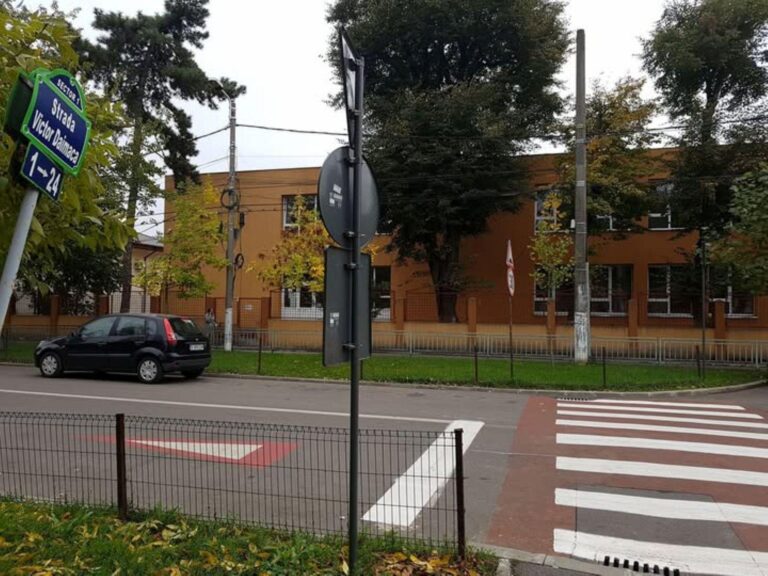 Provocările unei treceri de pietoni din Dămăroaia: un gărduleț și un drum complicat