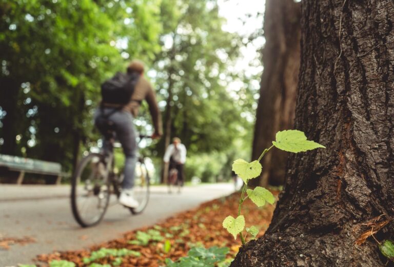Sector 3 | O rețea de 100 km de piste de biciclete ar putea lega sectorul de Popești-Leordeni și Cernica