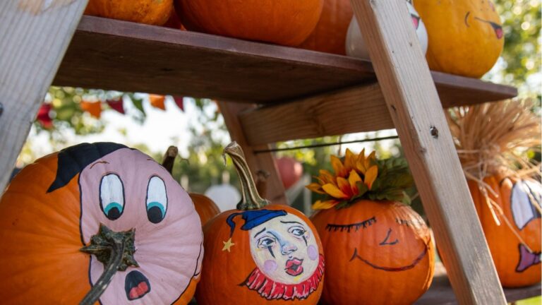 Târgul Dovleacului, la Antipa, în weekend 🎃 Pumpkin Fair cu sculptat dovleci și bunătăți de toamnă