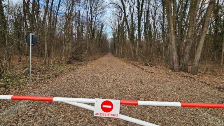 Trei noi căi de acces pentru cartierul Greenfield, în așteptarea autorizațiilor