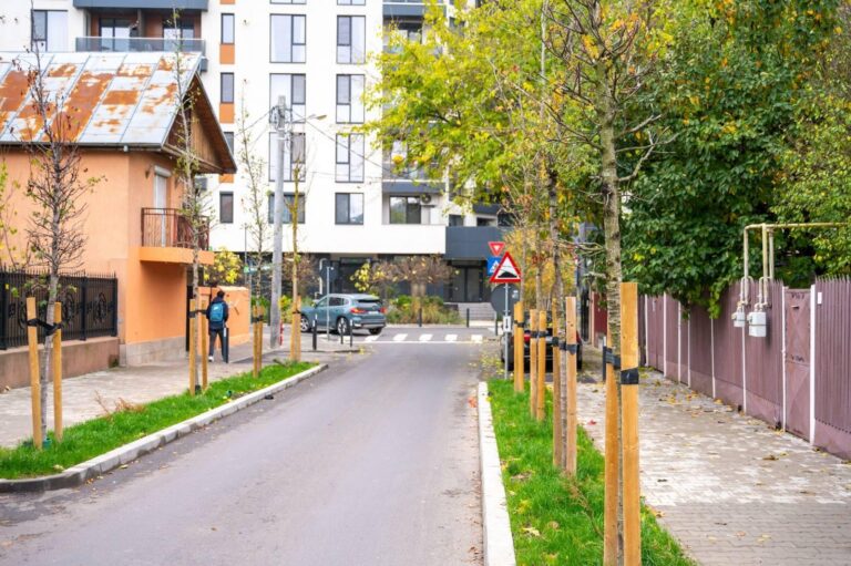 660 de copaci vor prinde rădăcini în Sectorul 6 al Capitalei