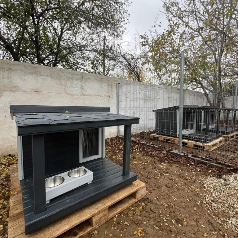 ASPA: Trei țarcuri speciale pentru câini la adăpostul Mihăilești