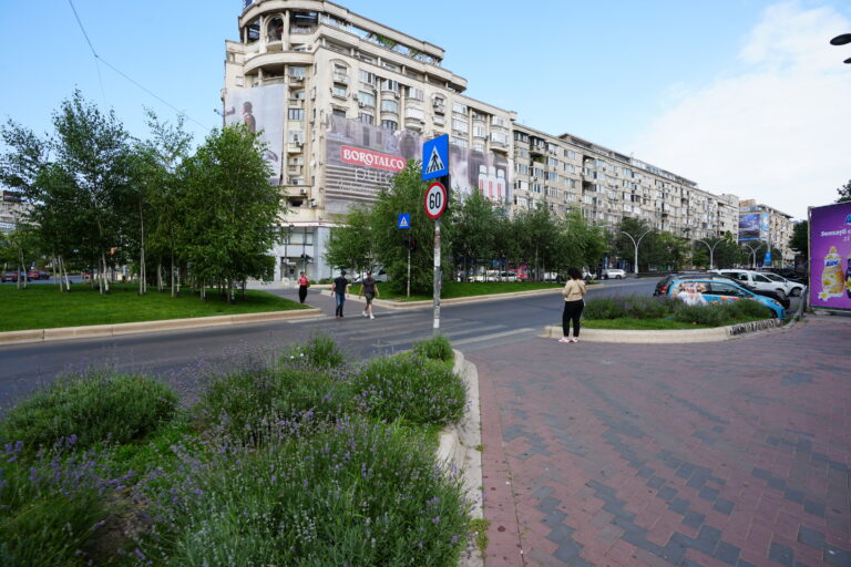 Natura, infrastructură de sănătate publică ?