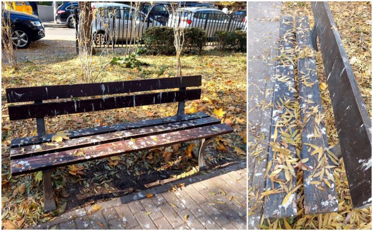 Festivalul Găinațului în Parcul Kiseleff: O realitate murdară pentru copii și părinți