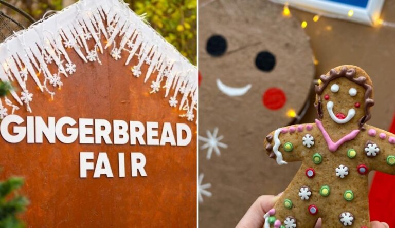 Gingerbread Fair revine în grădina Muzeului Antipa, în perioada 22 – 23 noiembrie 2025, cu ateliere și turtă dulce