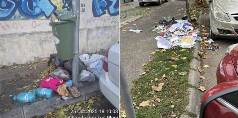 Primăria Sectorului 1 solicită returnarea sumelor plătite în exces către Romprest pentru serviciile de salubritate