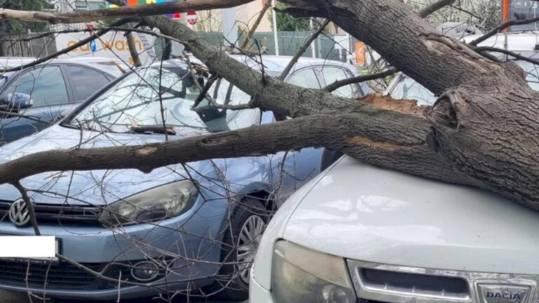 Scrisoarea unui bucureștean supărat către primarul Băluță: „Nu cer decât respect și responsabilitate!”