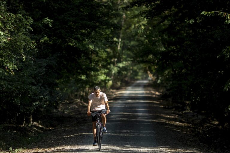 Tur ghidat în Pădurea Băneasa, organizat de Asociația Parcul Natural București. E gratuit și e în weekend, în limita locurilor disponibile