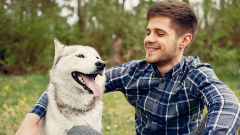 Zile libere pentru doliu în cazul decesului câinilor de companie