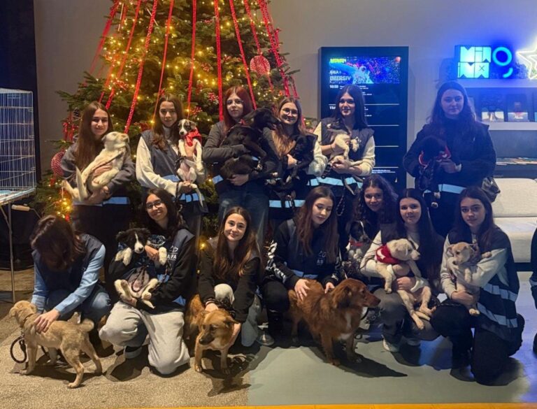 FOTO | 6 căței și 11 pisici au găsit familii la ultimul târg de adopții organizat de ASPA