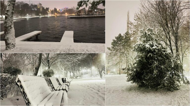 Iarna s-a instalat în Parcul Plumbuita din Sectorul 2, acoperind totul cu zăpadă