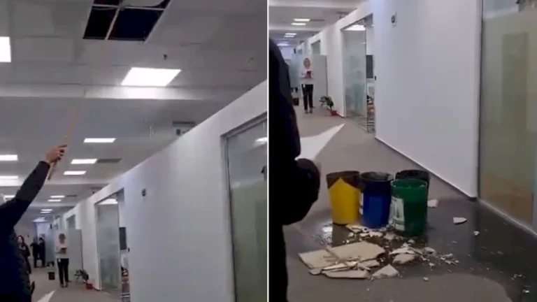 Infiltrații severe în noul sediu al Direcției Taxe și Impozite Sector 1, Clotilde Armand acuză lipsa unei baze legale pentru mutare