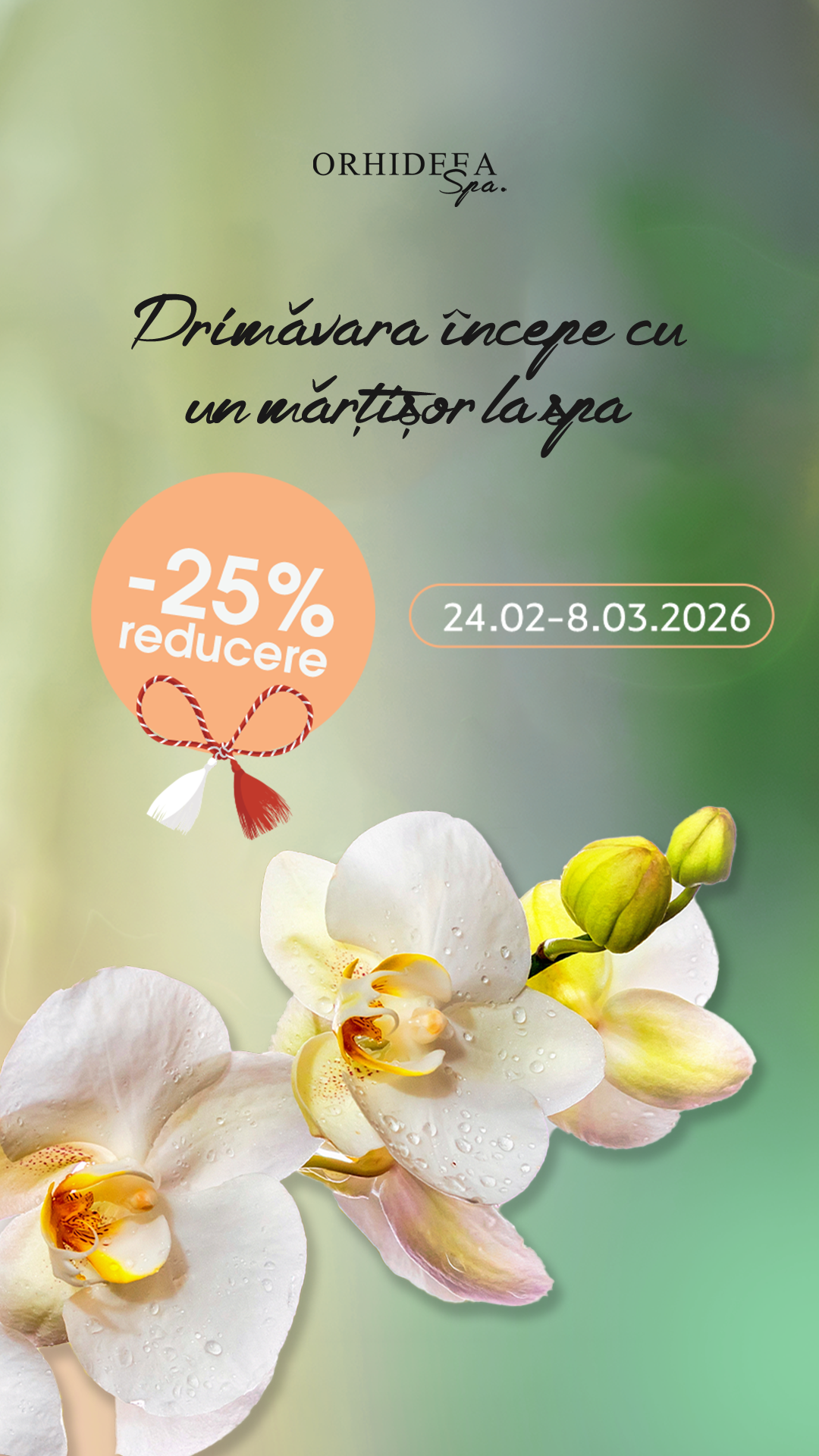 Orhideea Spa — Carduri de Primăvară