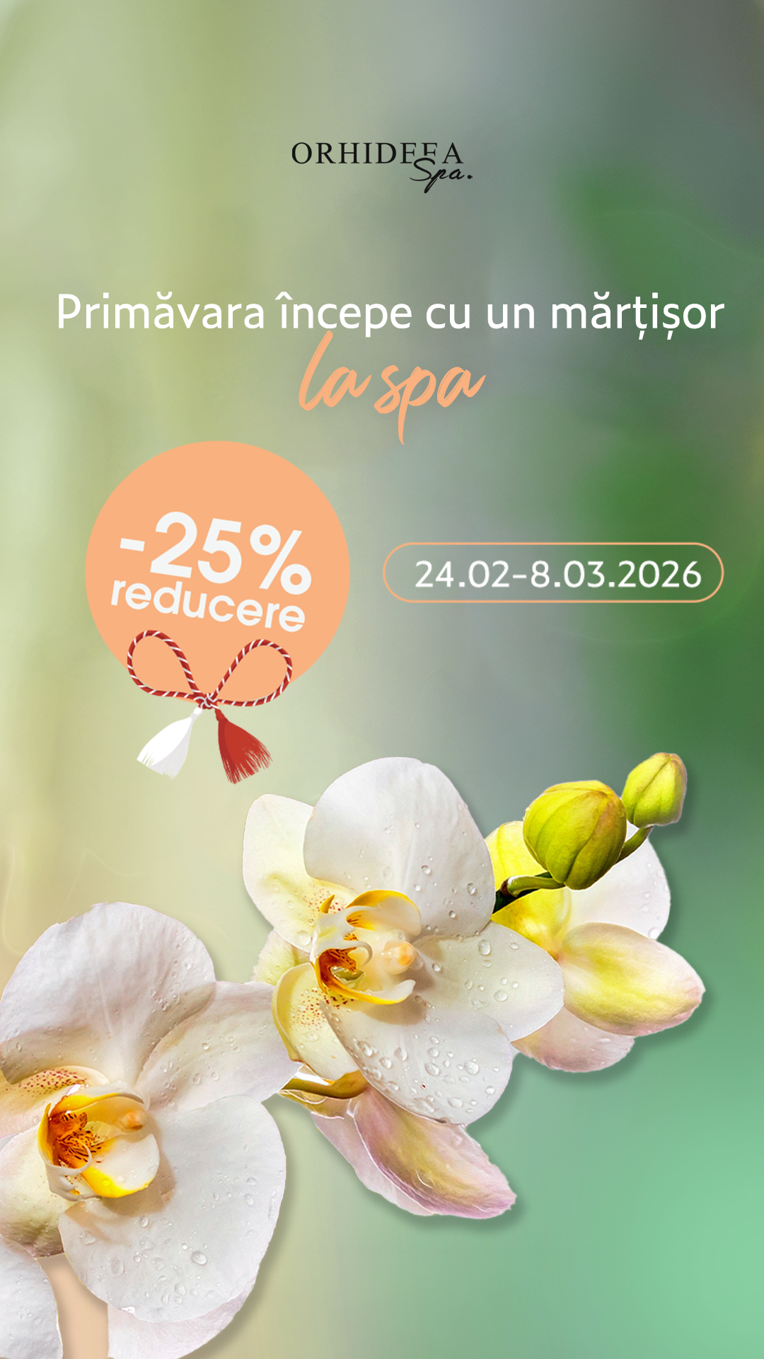 Orhideea Spa — Carduri de Primăvară