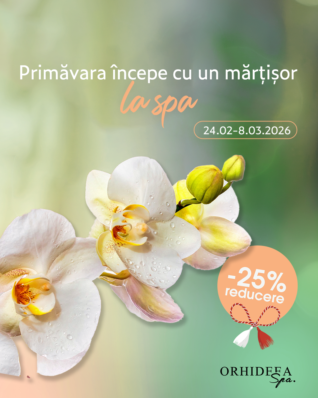 Orhideea Spa — Carduri de Primăvară