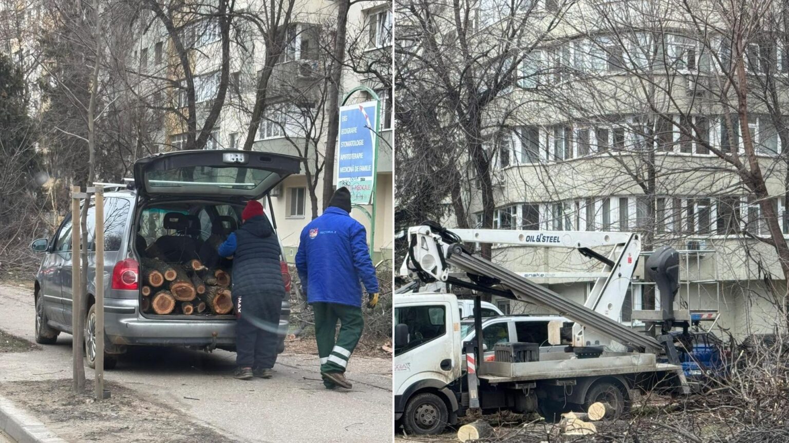 Fostul primar al Sectorului 2 acuză tăieri masive de co… — DeBucurești