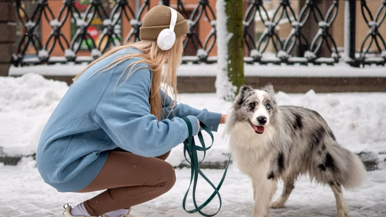Primăria Sectorului 3, apel către stăpânii de câini: „Strângeți după Bobiță!”