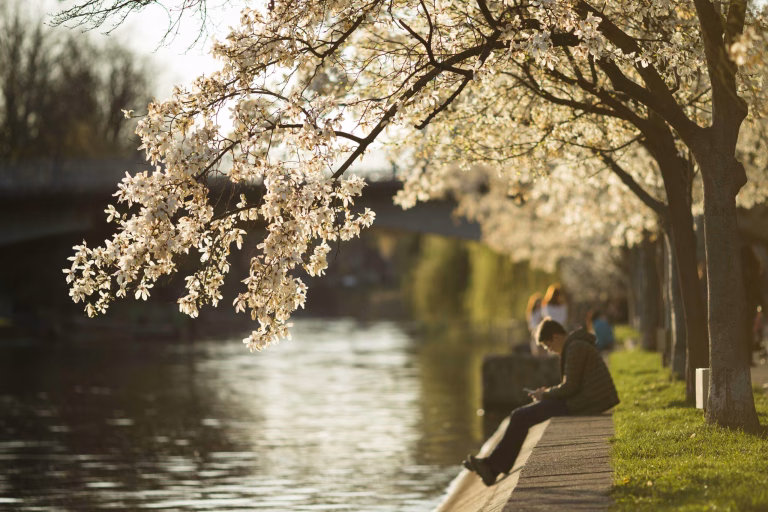 Un nou parc se va dezvolta în Cartierul Aviației din București, cu o suprafață de 1,2 hectare