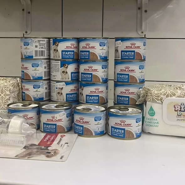 ASPA Bragadiru are 15 pui abandonați și nevoie urgentă de ajutor