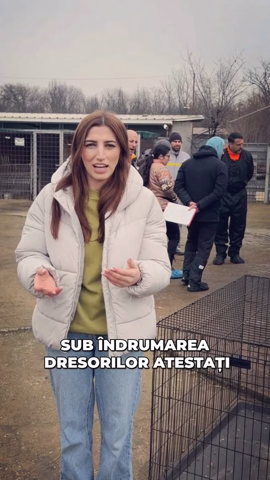 Cățeii de la Odăi vor învăța meserie înainte de adopție