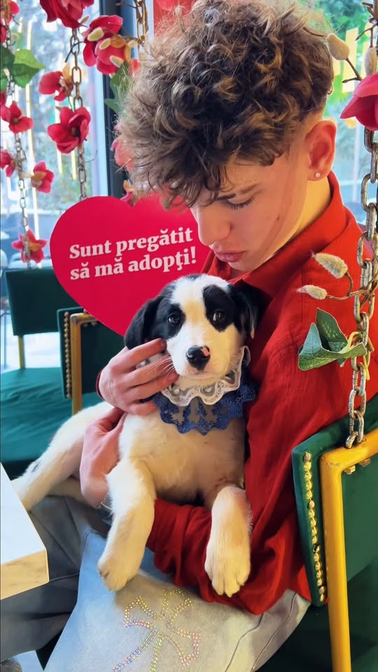 Dragobete cu blăniți: ASPA te invită să adopți responsabil
