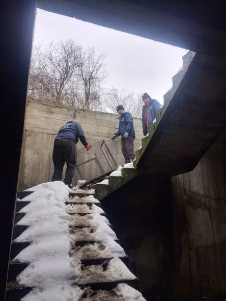 Echipele ASPA au salvat 18 câini în ultima săptămână - Bucuresti