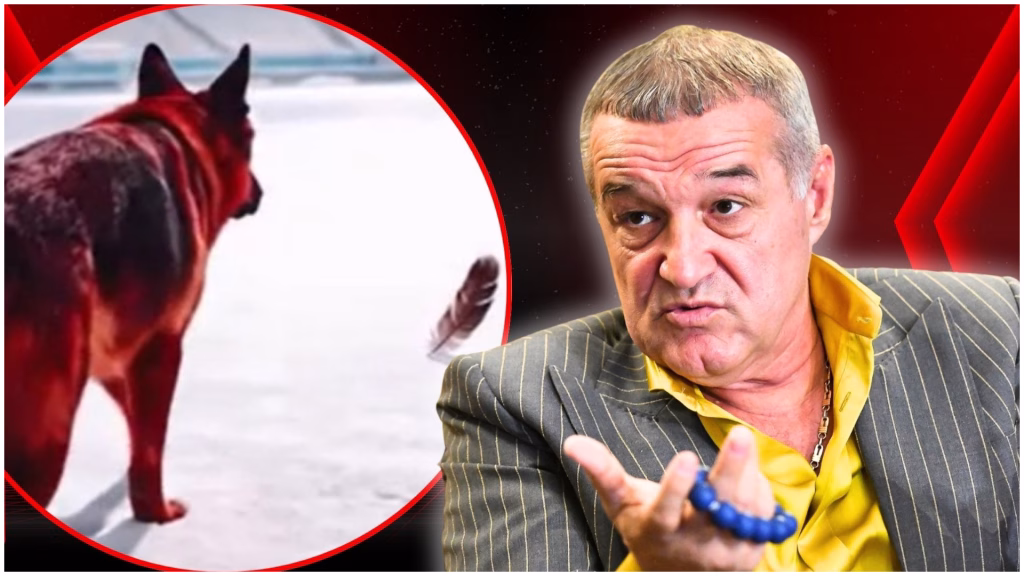 Gigi Becali, despre scandalul oii de la Rapid - Dinamo - Sport