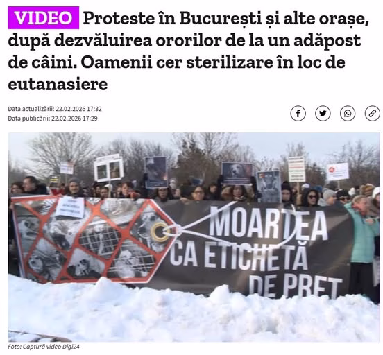 Mii de bucureșteni în stradă pentru câinii fără stăpân - Bucuresti