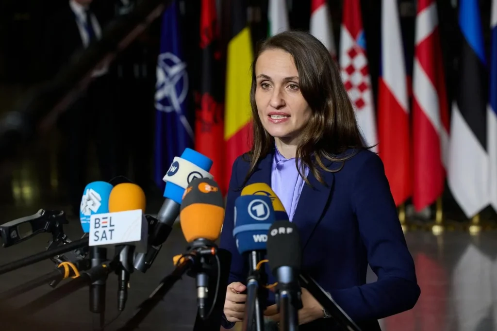 Oana Țoiu aduce cursuri de română în Germania pentru copiii noștri - Politica