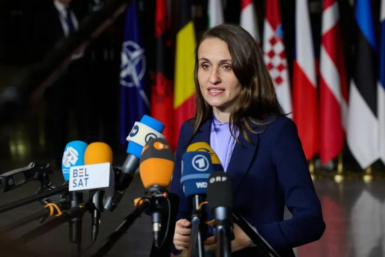 Oana Țoiu aduce cursuri de română în Germania pentru copiii noștri