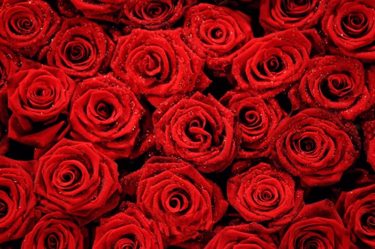 Polițiștii locali din sectorul 4 au intrat în spirit de Valentine’s Day