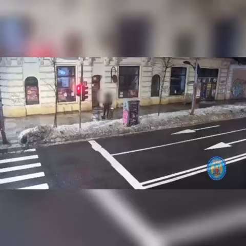 Prins cu căruciorul plin de afișe în centrul Bucureștiului