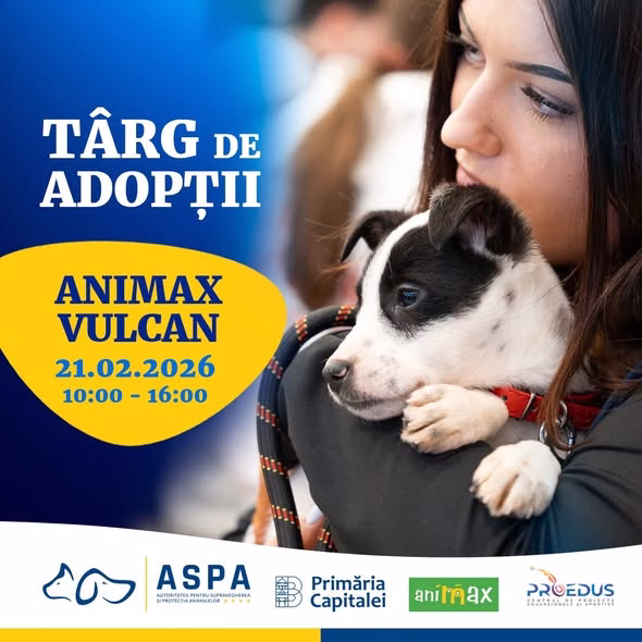Târg de adopții ASPA la ANIMAX Vulcan pe 21 februarie - Bucuresti