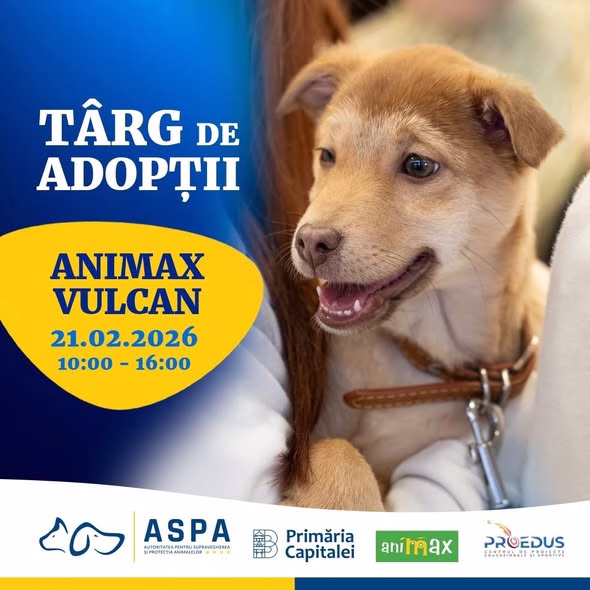 Târg de adopții canine sâmbătă la Animax Vulcan - Bucuresti